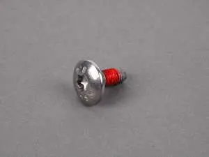 Torx Head Screw - Priced Each