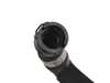 ES#4181447 - 17129797615 - Hose - Radiator-Engine - Genuine BMW - BMW