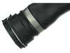 ES#4879316 - 11531716642 - Radiator Hose - Lower Radiator to Thermostat Housing - URO - BMW