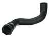 ES#4879316 - 11531716642 - Radiator Hose - Lower Radiator to Thermostat Housing - URO - BMW