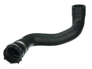 ES#4879316 - 11531716642 - Radiator Hose - Lower Radiator to Thermostat Housing - URO - BMW