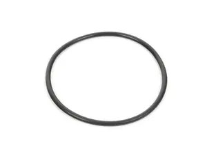 Fuel Pump O-Ring