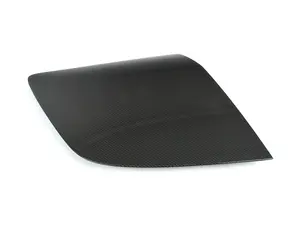 Carbon Fiber Side Insert - Left