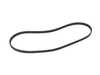 ES#2678424 - 079903137S - Accessory Belt - Keep your accessories running properly - Continental - Audi