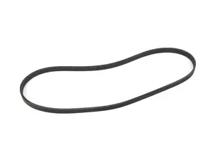 Accessory Belt