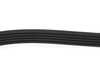 ES#2678424 - 079903137S - Accessory Belt - Keep your accessories running properly - Continental - Audi