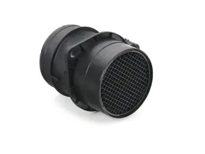 Mass Air Flow Sensor (MAF)