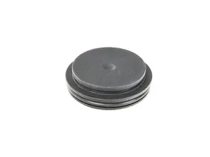 Cam Gear Sealing Cap - Priced Each