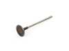 ES#4877038 - 11348473702 - Intake Valve - Genuine BMW - BMW