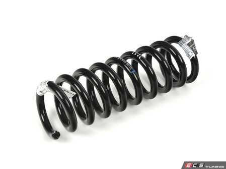 ES#4753772 - 124324300464 - REAR SPRING - Genuine Mercedes Benz - Mercedes Benz