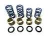 ES#4895017 - S-111-GT4SUK - Tarett Engineering 981/718 GT4 Spring Upgrade Kit - Complete drop-in spring upgrade, rides and handles like a GT4! - Tarett Engineering - Porsche