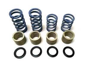 ES#4895017 - S-111-GT4SUK - Tarett Engineering 981/718 GT4 Spring Upgrade Kit - Complete drop-in spring upgrade, rides and handles like a GT4! - Tarett Engineering - Porsche