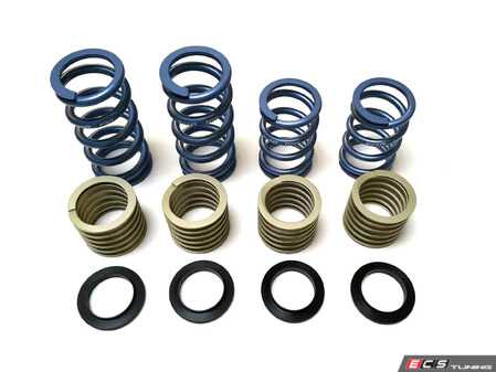 ES#4895017 - S-111-GT4SUK - Tarett Engineering 981/718 GT4 Spring Upgrade Kit - Complete drop-in spring upgrade, rides and handles like a GT4! - Tarett Engineering - Porsche