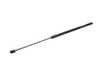 ES#4317276 - 3CN823359A - GASFILSTRU - Genuine Volkswagen Audi - Volkswagen
