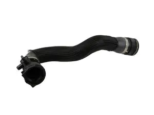 Lower Radiator Hose 