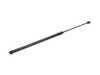 ES#4317276 - 3CN823359A - GASFILSTRU - Genuine Volkswagen Audi - Volkswagen