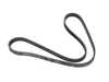 ES#3504800 - 11281736698 - A/C Compressor/Water Pump Belt - Replacement accessory belt - Continental - BMW