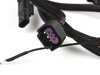ES#4858622 - 201-0021 - VW / Audi E888.3 MPI Wire Harness - The harness adds 4 EV1 style fuel injector connections, 1 low fuel pressure sensor connection, 1 flex fuel sensor connection - Precision Raceworks - Audi Volkswagen