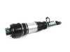 ES#2739556 - 44-102272 - New Hydro-Pneumatic Strut Assembly - Fits right side only - Bilstein - Mercedes Benz