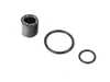 ES#4852342 - CP4-MVBK-CVCA - TDI CP4 Metering Valve Bypass Kit - CRUA/CVCA Engine Code - With Earl's Filter - Prevent a high pressure fuel pump failure from taking out your entire fuel system! - Whitbread Performance Innovations - Audi Volkswagen