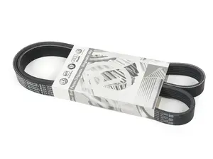 Accessory Belt