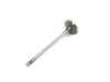 ES#4461100 - 11347513019 - Intake Valve - Priced Each - Standard replacement intake valve - Kolbenschmidt - MINI