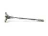 ES#4461100 - 11347513019 - Intake Valve - Priced Each - Standard replacement intake valve - Kolbenschmidt - MINI