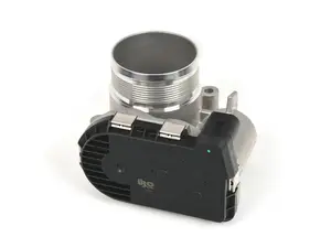 Throttle Body Assembly