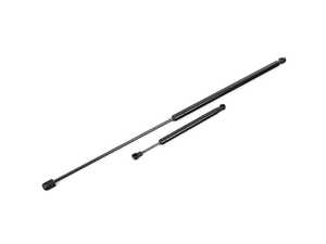 ES#3658489 - 8t0823359ktKT - Hood & Trunk Strut Kit  - Tired of holding that sagging hood or trunk open? - Assembled By ECS - Audi