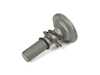ES#4158379 - 31206866022 - COLLAR SCREW WITH SPRING - Genuine MINI - 