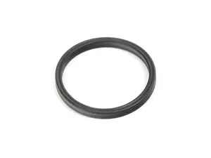 Thermostat Housing Sealing O-Ring