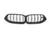ES#4200397 - 51712462820 - FRONT RADIATOR GRILL CARBON - Genuine BMW - BMW