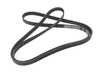 ES#4001850 - 059903137AG - Accessory Belt - Replace your cracked or worn belt - Continental - Audi