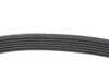 ES#4766243 - 11287952902 - Accessory Belt 6pk-1173 - Main drive belt that connects to the main pulley 6PK x 1175 - Continental - MINI