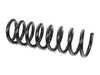 ES#3147937 - 2103211204 - Front Spring - W202-S202-R170 - Mubea - Mercedes Benz