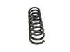 ES#3147937 - 2103211204 - Front Spring - W202-S202-R170 - Mubea - Mercedes Benz