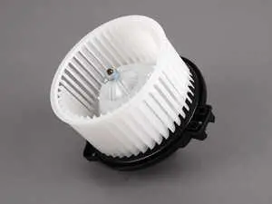 Blower Motor