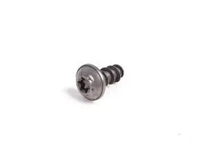Torx Screw - Priced Each