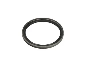 Crankshaft Rear Main Seal