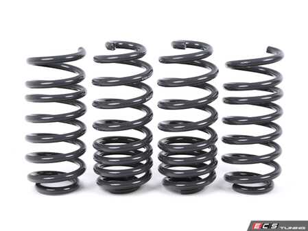 ES#4899178 - 034-404-1022 - B9 SQ5 Dynamic+ Lowering Springs - Engineered to improve handling and deliver superb ride quality! - 034Motorsport - Audi