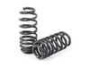 ES#4899178 - 034-404-1022 - B9 SQ5 Dynamic+ Lowering Springs - Engineered to improve handling and deliver superb ride quality! - 034Motorsport - Audi