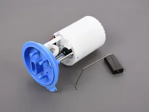 Electric In-Tank Fuel Pump