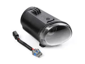 Fog Lamp - Right