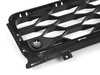 ES#3251604 - 51117422938 - GRID, CENTER - Genuine MINI - MINI