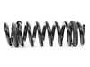 ES#3213464 - 33537857311 - Genuine BMW Coil Spring - Compresses ands absorbs road impacts - Genuine BMW - BMW