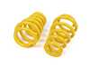 ES#3676893 - 13210078 -  ST X Performance Coilover System - Fixed Damping - Set your vehicle low and tight for optimal performance. - Suspension Techniques - Audi