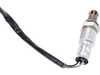 ES#4931705 - 0065422218 - Oxygen Sensor - Downstream - Keep your engine running efficiently - Rear Position - Downstream - URO - Mercedes Benz
