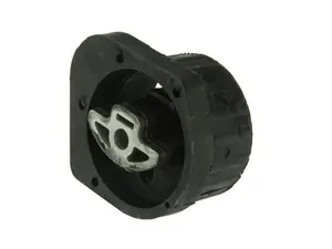 Transfer Case Mount