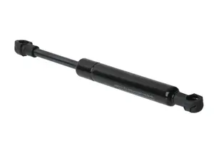 Trunk Strut