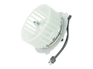 Blower Motor